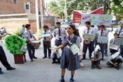 Divya Public School-Activity